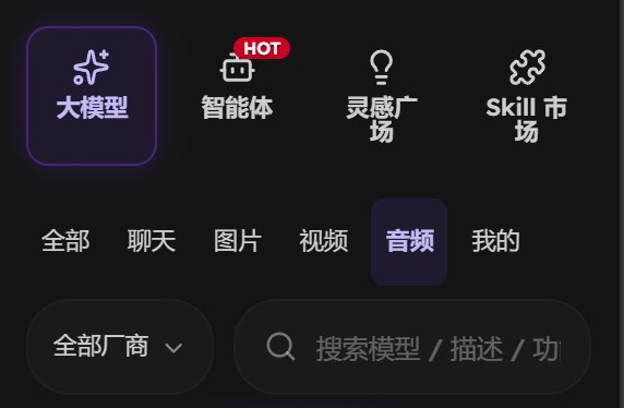左侧栏的大模型分组，下方一排筛选项里的「音频」