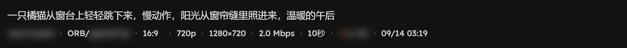 视频结果卡下面那一行：模型、渠道、比例、分辨率、时长、实付和时间