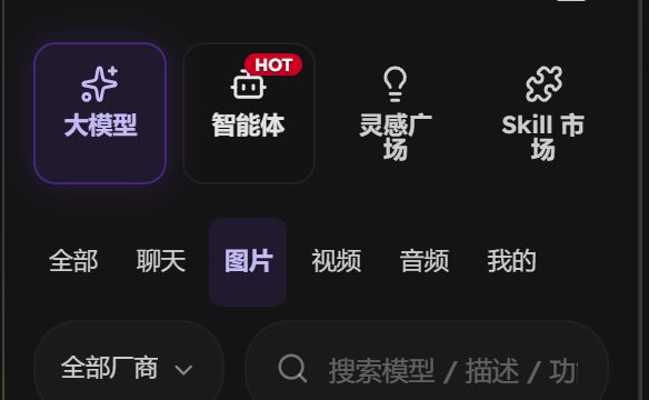 左侧栏的大模型分组，下方一排筛选项里的「图片」