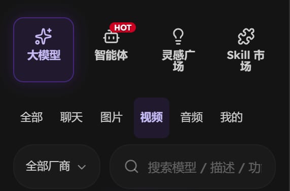 左侧栏的大模型分组，下方一排筛选项里的「视频」
